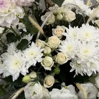 «Їхнє місце життя – на сцені»: у Луцьку вшанували народних артистів України, яким нещодавно відкрили меморіальні дошки